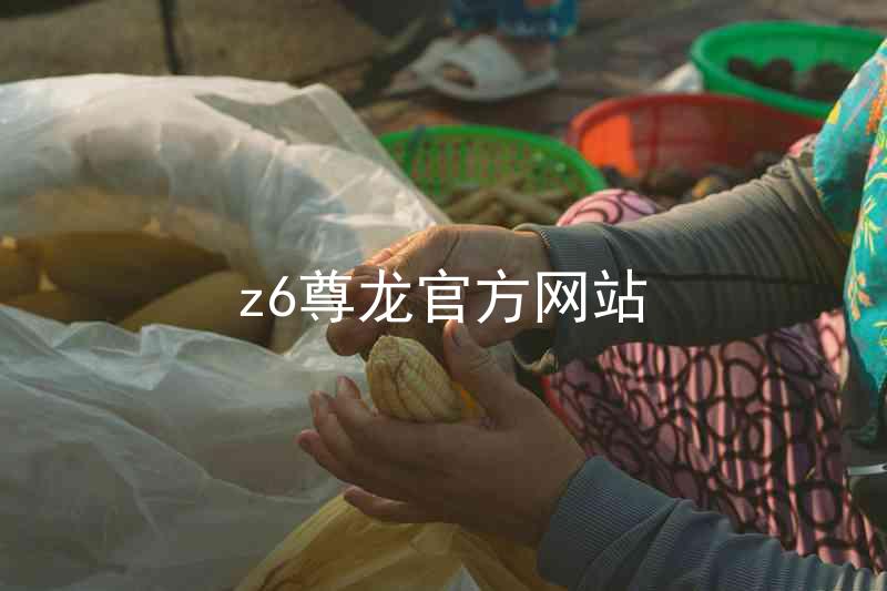 z6尊龙官方网站