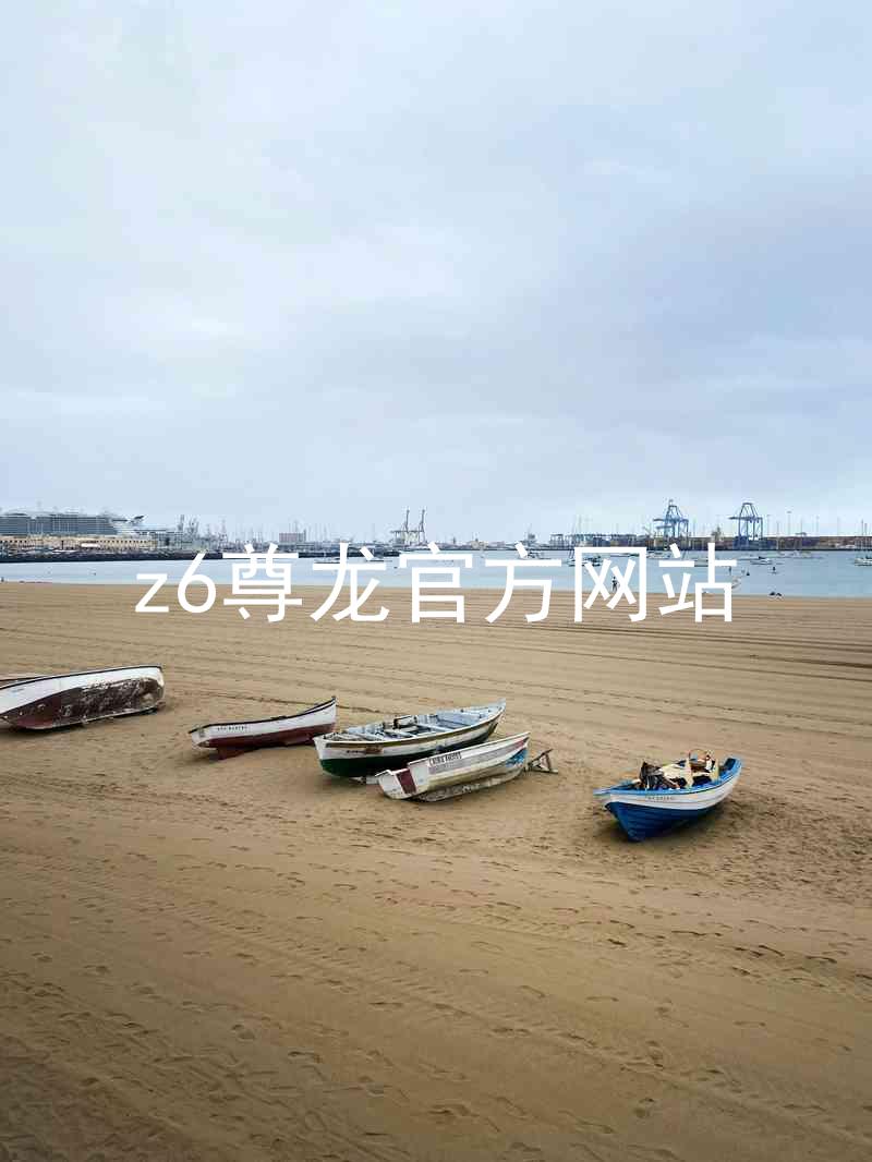 z6尊龙官方网站